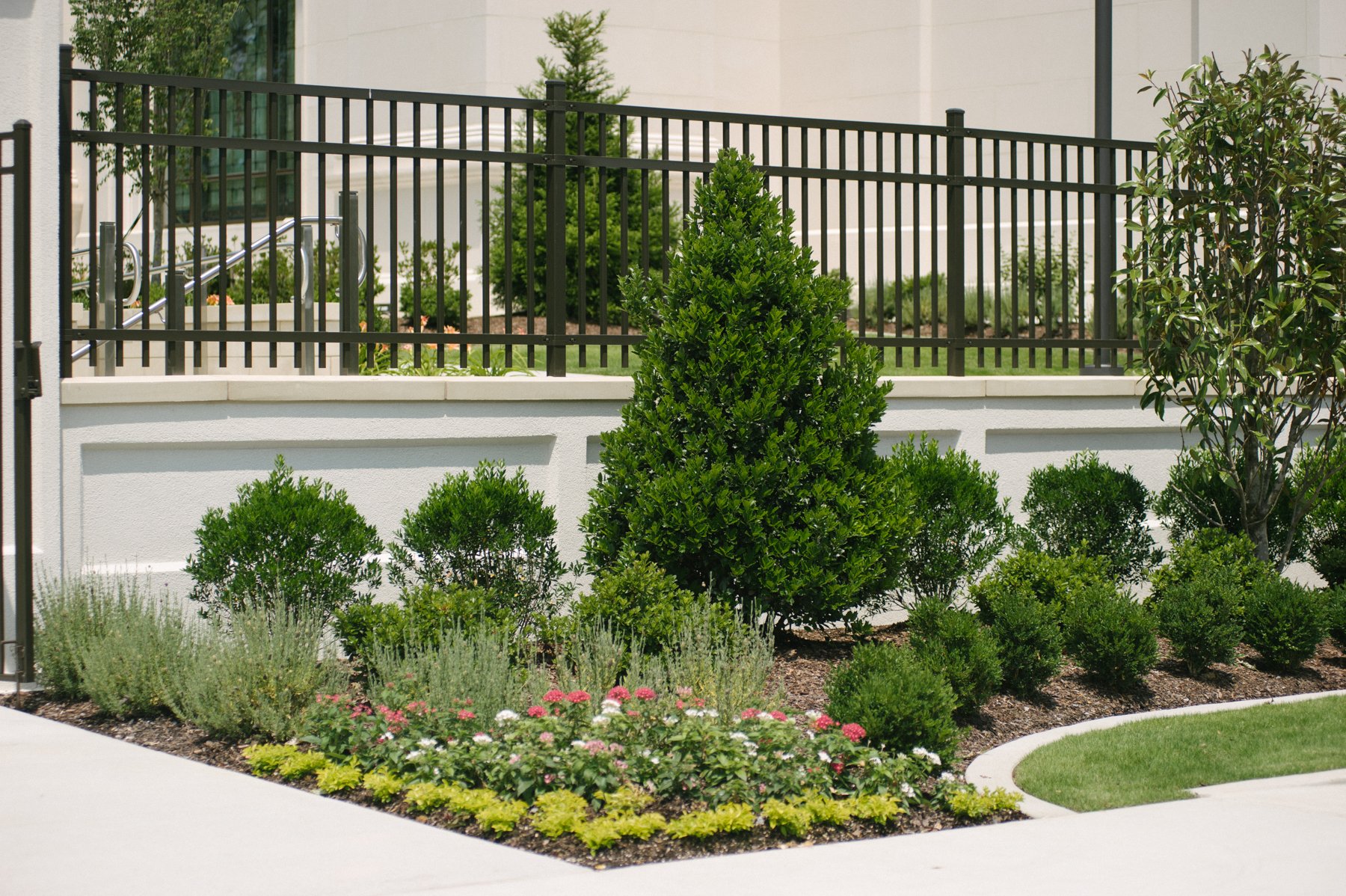 Plants for Commercial Landscaping in Memphis, TN 7 Careful Considerations